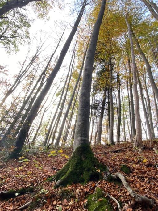 Casa Natur Pur, 85M2 Mit Garten Sauna Fischbachau Bagian luar foto