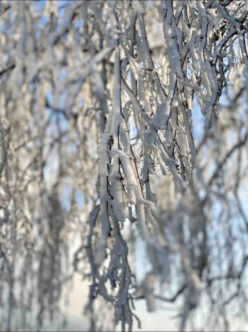 Casa Natur Pur, 85M2 Mit Garten Sauna Fischbachau Bagian luar foto