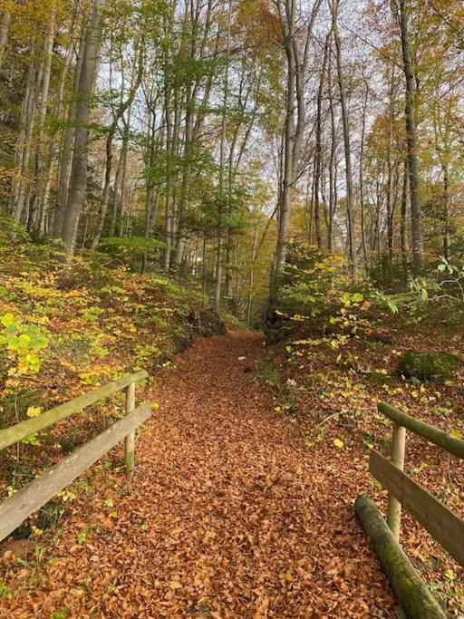 Casa Natur Pur, 85M2 Mit Garten Sauna Fischbachau Bagian luar foto