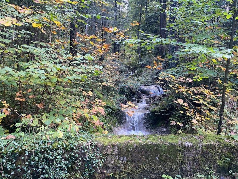 Casa Natur Pur, 85M2 Mit Garten Sauna Fischbachau Bagian luar foto